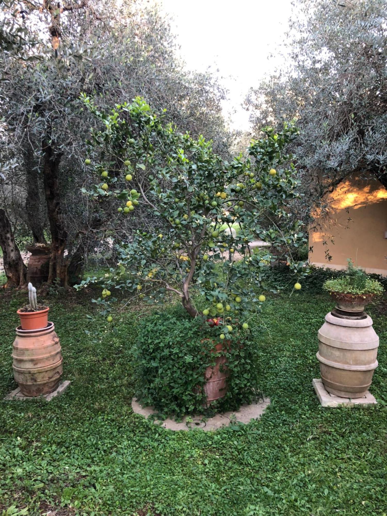 Agriturismo La Canonica Manciano Zewnętrze zdjęcie